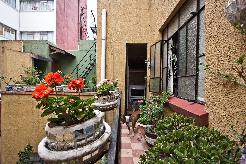 Condechi B And B Mexico City Exterior photo